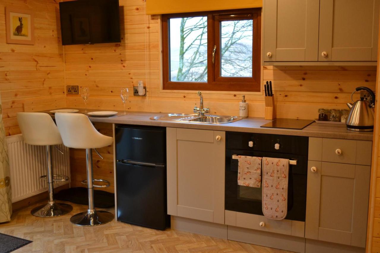 The Warren Lodge Cabin At Ashes Farm, Near Settle Luaran gambar